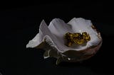 Gold: The Trouble with Precious Resource