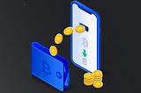 A Guide to the Most Secure Bitcoin Wallets 100% Free