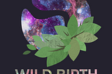 WILD BIRTH: Advent 2021 Reflection Guide