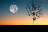The moon