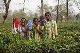 5 Startups That Are Debunking Menstrual Myths and Promoting Sustainable Menstrual Products and…