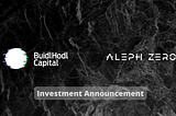 Investment in Aleph Zero