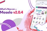 New on Moselo v2.0.4: The Real Deal for Expert and Customer!