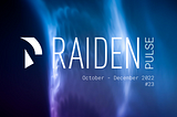 Raiden Pulse #23: Updates From Q4 2022