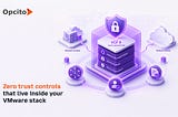 How to secure VMware VCF private cloud