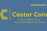 Castor Coin Tokenomics