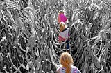 A photo of three children wandering through a cornfield.