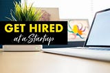Get Hired at a Startup