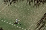A tennis player, captured from above, serves on a grass court under the shade of palm leaves, evoking a relaxed and tropical atmosphere while highlighting the dynamic movement of the game. Reflecting the perspectie of Tamneek Bhogal on tennis injury prevention and recovery.