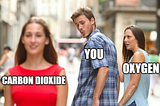 Don’t Dump Carbon Dioxide Too Fast!