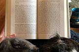 Reading a book with a dog