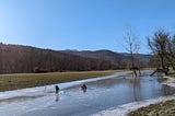 When life gives you a flood, go ice skating