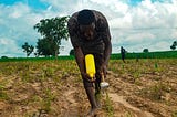 A Thrive Agric Sorghum farmer in Dogon Dawa in Kaduna State planting his farmland.