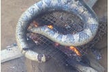 How to Roast a Python with Fire