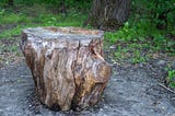 A weathered tree stump sits on bare ground in a grassy clearing, its cracked, textured surface showing deep age and decay against a backdrop of green foliage and trees.
