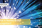 What is Named Entity Recognition?