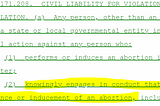 Texas’s SB8 Abortion Bill Also Allows Pro-Choice People to Sue Everyone too.