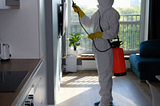 Effective School Pest Control in Sydney: Ensuring a Safe Learning Environment