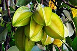 Eat star fruit in winter, these 5 benefits will be available from hair to health