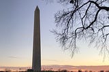 Rover Tales: 18.966 Steps in D.C.