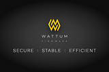 Push the Limits of Firmware with Wattum