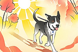 A dog walks with a background of bright sun and reds and yellows