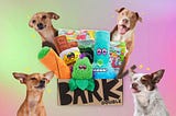 BarkBox 420 Cannabis-Themed Product Marketing Campaign Poster April 2022
