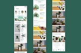 Gogreen: An app to Buy Plants and Look them in your Real Space