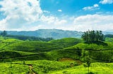 Hill stations in south India worth visiting