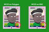 Important announcement regarding the WC22 collection