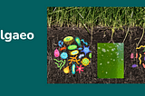 The Power of Microorganisms: How Tiny Allies Can Transform Your Lawn