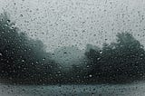 rain on glass, early dawn, trees at the distance