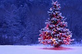 WHAT’S FOUND UNDER CASPER’S CHRISTMAS TREE