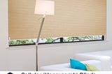 Creating a Cozy Haven: Using Cellular Blinds for Windows
