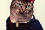 My Leukemic Cat Is A Fashion Icon!