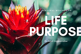 Life Purpose