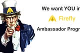 Firefly Ambassador Program. What is it and how to get there?