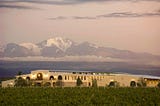 Bodega Piedra Negra, pioneros del Cabernet Sauvignon en Los Chacayes, celebra su día internacional