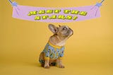 A French bulldog wearing blue pyjamas with a banana motif, sitting beneath a purple banner on which is written, in yellow, “Meet the stars!”