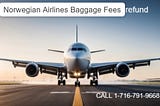 Norwegian Airlines lagged |Carry on baggage & Fees