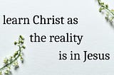 learn Christ as the reality is in Jesus (agodman.com)