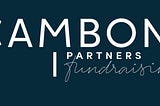 Cambon Partners — Fundraising team — Overview S1 2022