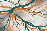 Vagus Nerve Stimulation for Long Covid: Does It Work?