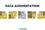 A Beginner's Guide to Automated Data Augmentation in Machine Learning.