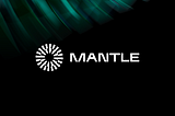 Mantle Network