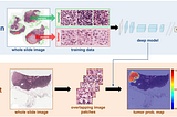 Unveiling the Power of Naïve Bayes: A Comprehensive Exploration in Breast Cancer Classification