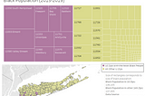 Visualizing Anti-Black Racism on Long Island