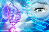 How a DNA Test Revealed the Science Behind My Cannabis Experience
