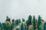 Climate Change Clutches Cactus