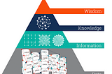 Data information knowledge wisdom model